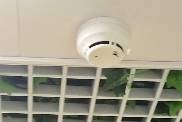煙感報(bào)警2024109193.jpg